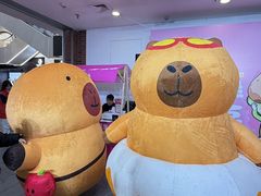 -盛京大奥莱(沈阳奥体店)