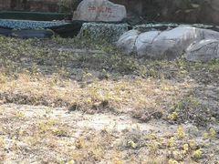 -广东天露山旅游度假区