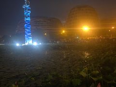 -海天湖公园