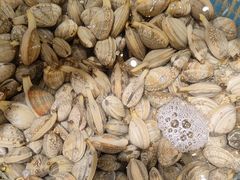 -和源祥·日照菜扛把子(万平口一店)