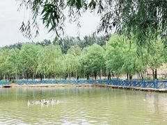 -栾川竹海野生动物园
