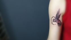 -刺客纹画纹身·洗纹身·穿孔饰品