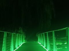 -南阳建业森林半岛假日酒店