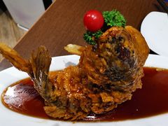糖醋鲤鱼-老牌坊鲁菜名店(宽厚里店)