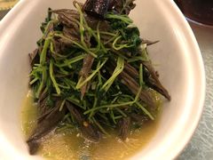 豌豆苗拌黑腐竹-玉华宫宾馆·餐厅(铜川驻京办店)