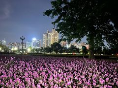 -花都广场
