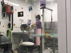 -达爱动物医院·犬猫分区·CT·复杂眼科(远洋山水分院)