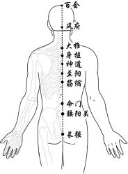 -雅曼妮spa美容养生