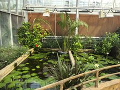 -国家植物园南园