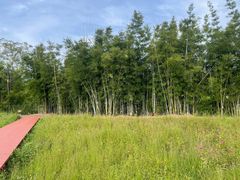 -苏家围·东江画廊旅游景区