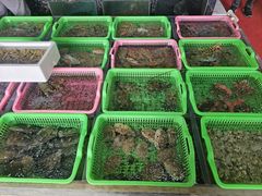 -众味海鲜大排档·活海鲜·潮汕味(南澳店)