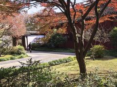 -浙江省博物馆(孤山馆区)