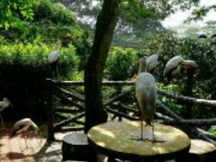 -吉隆坡雀鸟公园