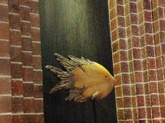 -永安鱼庄·镇江菜(东吴路店)