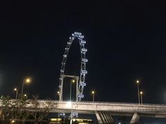 -新加坡摩天观景轮