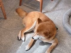 -三目仓咖啡(贤南路店)