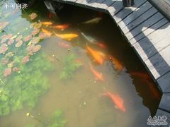 -天目湖山水园