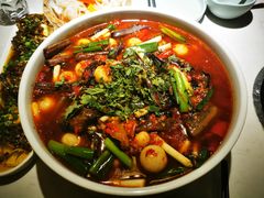 -院8里·小聚园老川菜(九眼桥店)