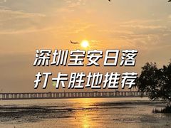 -宝安西湾红树林湿地公园