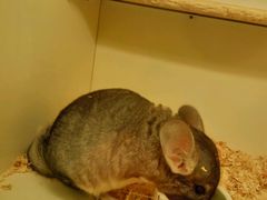 -龙猫仔乐园(惠福东路店)