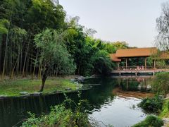 -杭州植物园