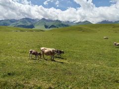 -新疆那拉提国家旅游度假区