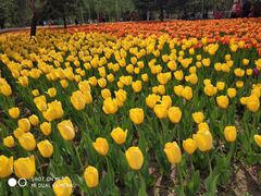 -长春公园(普阳街道)