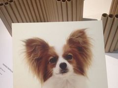 iphone_upload_pic-知美术馆