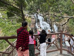 -海南热带雨林国家公园吊罗山景区