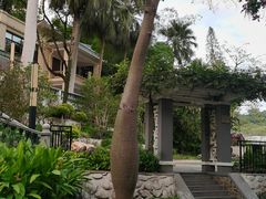 -广东温泉宾馆