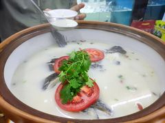 -全乐鱼馆·淳牌有机鱼直营店
