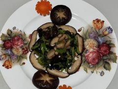 -爱月宝月嫂·育儿嫂(哈尔滨总店)