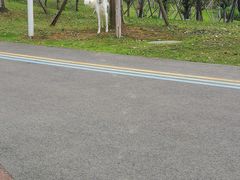 -白鹭湾湿地公园