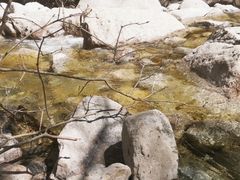 -青峰峡国家森林公园