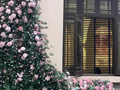 -也枫·小黄楼(南山路旗舰店)