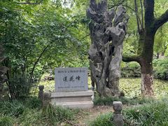 -中国湖笔博物馆(莲花庄路)