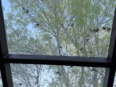 -VOYAGE COFFEE(北锣鼓巷店)