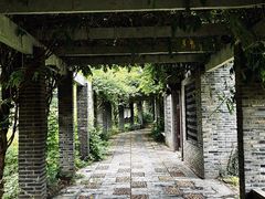 -龙寺生态园