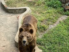-无锡动物园·太湖欢乐园
