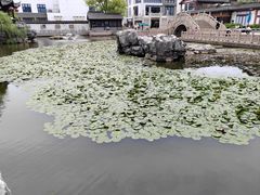 -常熟方塔园