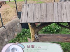 -大连森林动物园