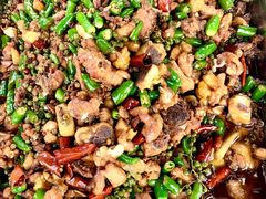 -铁山坪森林公园