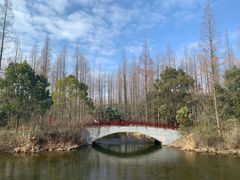 -东平国家森林公园