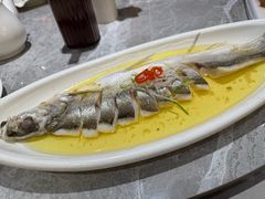 -老绍兴养和饭店(向阳不夜城店)