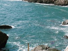 -广东惠东海龟国家级自然保护区