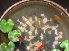 -曲水兰亭(北京四惠店)