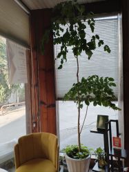 -香秀空间科技抗衰·美容中心