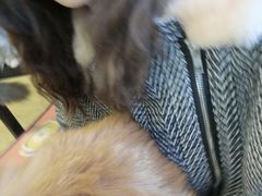 -萌喵咖啡屋(人民东路4号口M16商铺店)