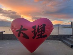 -野菌皇海景野生菌火锅(滨海大道店)