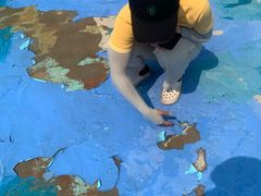 -亚马逊丛林水乐园